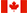Noram ProSki Simulator Canada